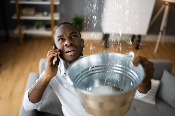 Best Water damage restoration near me  in Ellsworth, WI