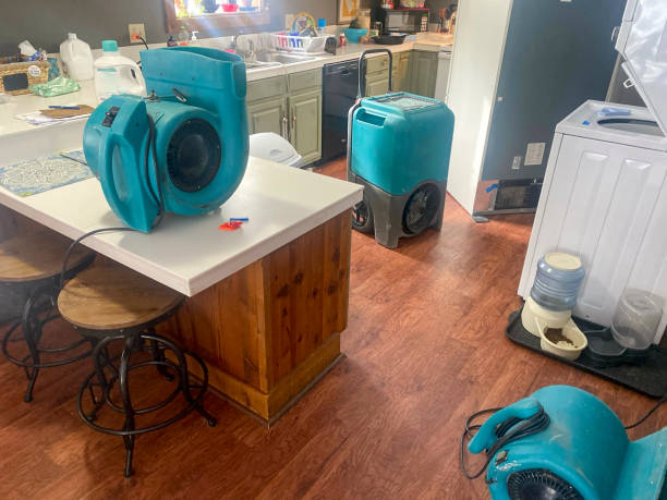 Best Basement water damage restoration  in Ellsworth, WI
