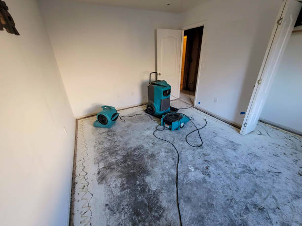 Best Emergency water damage restoration  in Ellsworth, WI
