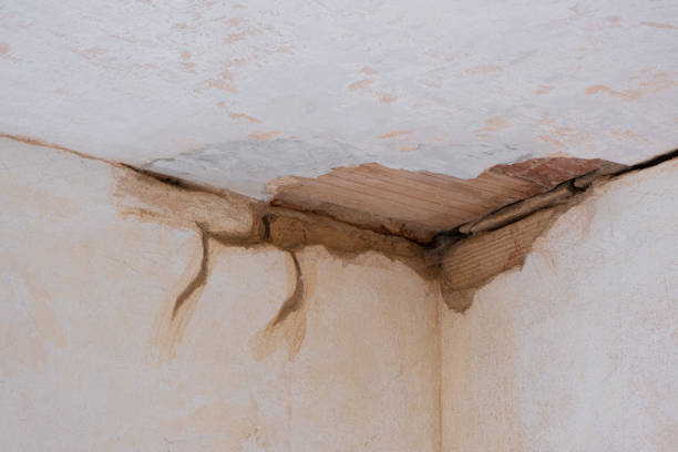 Professional Water damage restoration in WI