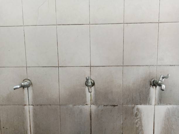 Best Sewage cleanup and water damage restoration  in Ellsworth, WI