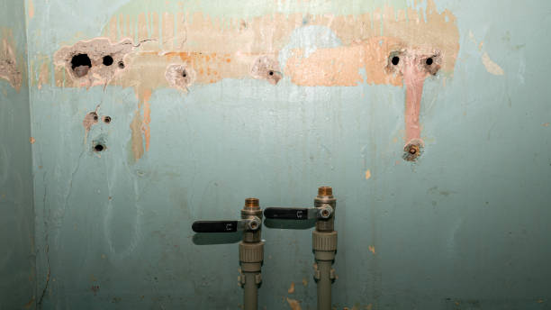 Best Flooded house restoration  in Ellsworth, WI