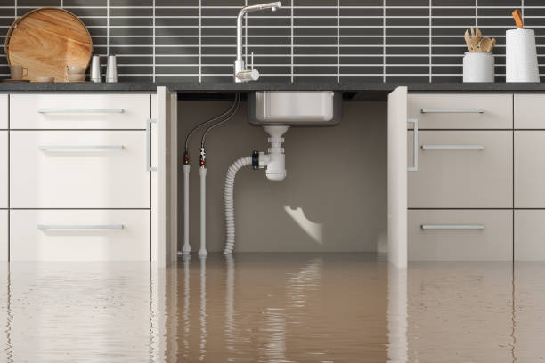 Best Water damage contractors near me  in Ellsworth, WI