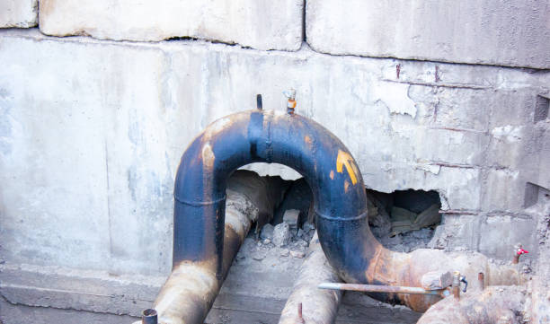 Best Professional water damage repair  in Ellsworth, WI