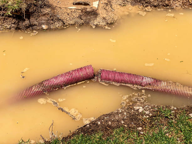Best Flood damage cleanup  in Ellsworth, WI