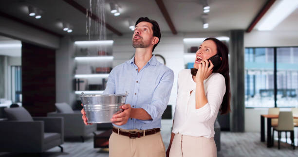  Ellsworth, WI Water damage restoration Pros